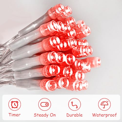 cshare String Lights Outdoor Waterproof 9.8ft 30 LED, Red Fairy Lights Battery Operated with Timer Clear Wire for Indoor & Outdoor Christmas Vanlentines Decorations Garland Party Garden - color: Red