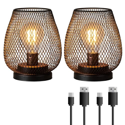 Set of 2 Rechargeable Lamp LED Table Lantern, Brown Metal Cage Cordless Lamps with LED Bulb，Vintage Decorative Outdoor Lantern for Weddings, Parties, Patio, Events for Indoors Shelf Decor - style: Bronze Egg / Timer / Rechargeable