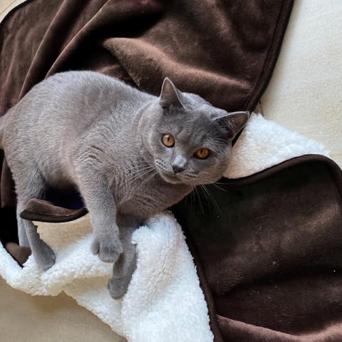 Waterproof Blanket for Bed Couch Sofa, Soft Liquid Pee Proof Pet Blanket for Dog Puppy Cat, Reversible Sherpa Fleece Furniture Protector (Brown, 30x40 inches) - color: Brown, size: 30x40 inches
