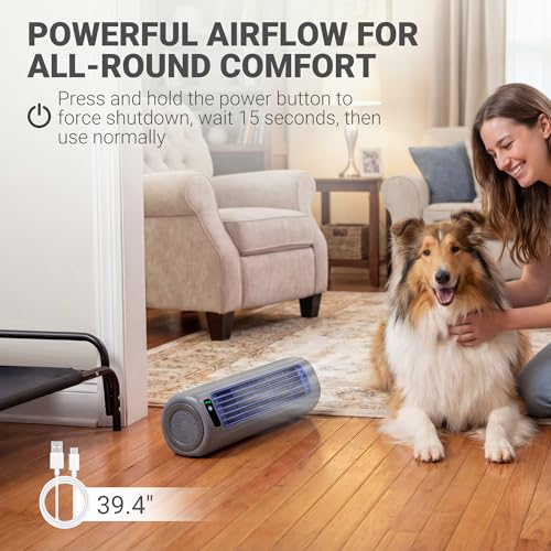 Tailwaggz Elevated Outdoor Dog Bed with Fan - Cooling Dog Bed for Large Dogs, Waterproof Cot Easy to Assemble, 3 Wind Speed, Raised Dog Bed with Washable Mesh Cover, Durable, Non Slip, Up to 105 lbs - size: Large