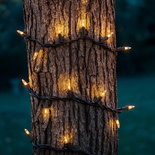 Novelty Lights 34 Feet 100 Bulbs Traditional Incandescent Mini Lights, Clear on Brown Wire with 4" Spacing, Commercial Grade and UL Listed for Indoor/Outdoor Use, End-to-End Connectable - color: Brown Wire