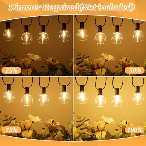 Bosceos 100ft Outdoor G50 LED Globe String Lights Dimmable Waterproof Shatterproof Light Strings with 52 Bulbs Connectable Commercial Hanging Lights for Christmas Patio House Backyard Balcony Party - color: Black, size: 100FT-G50