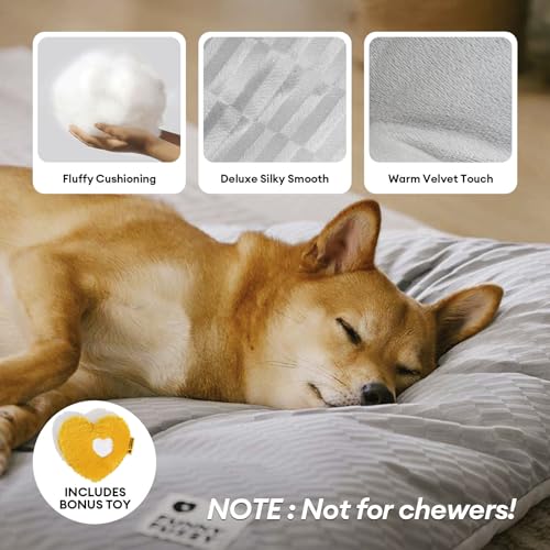 FUNNY FUZZY 2 in 1 Dog Bed Crate Pad Mat, Washable Reversible Floor Sleeping Mats,Fluffy Kennel Pad for Medium Sized Dog,Indoor Cats,Sleeping Mattress, 29.9" × 18.9", Light Grey - color: Light Grey, size: 30"×19" Medium