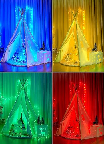 Minetom Color Changing Fairy String Lights - 33 ft 100 LED USB Silver Wire Lights with Remote and Timer, Starry Fairy Light for Bedroom Party Indoor Christmas Decoration, 16 Colors, Adapter Included - color: 16 Colors, size: 33 FT