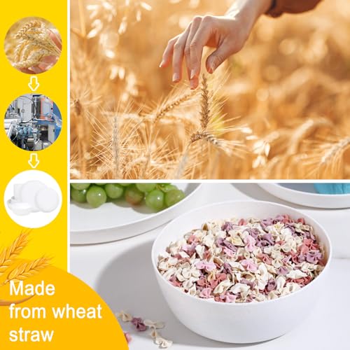 EI 12pcs White Wheat Straw Plates,Wheat Straw Dinnerware Set,Plates and Bowls Sets,Unbreakable Plastic Plate,Plastic Plates Reusable,Dinner Plates Set of 4,Plastic Dishes Set - color: White Wheat Straw Plates and Bowls