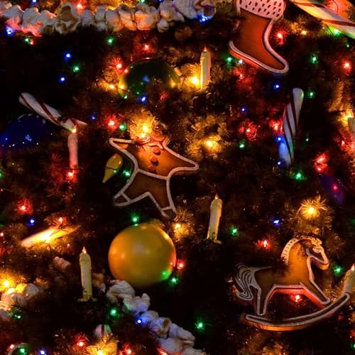 Dazzle Bright 4 Pack Solar String Lights Outdoor, Total 160FT 480LED Solar Powered Waterproof Fairy Lights 8 Modes, Silver Wire Lights for Christmas Patio Party Tree Yard Decoration (Multi Color) - color: Multicolor, size: 4 Pack
