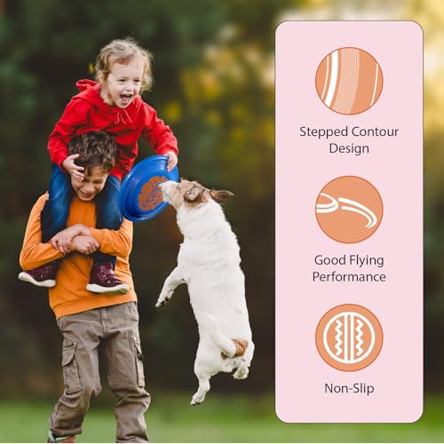 Frisbee Fastback Outdoor Flying Disc for Kids, 9.35 Inch Lightweight Sports Disc, Dog-friendly, for Beach Lawn Backyard Games and Family Fun - 100g - color: Green+Blue