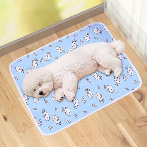 Dog Cooling Mat - Pressure Activated Cooling Pad, Gel Mat | Portable Lightweight for Dogs, Easy Clean, Heatstroke Prevention, Joint, Suitable for All Breeds and Senio - color: S
