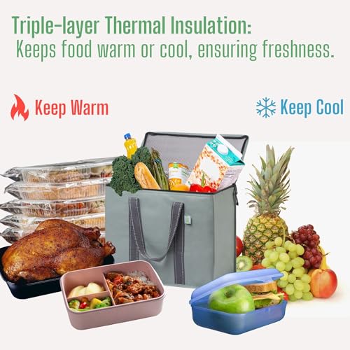 VENO 2 Pack Cooler Bag and Insulated Grocery Bags for Food Delivery, Collapsible Cooler. Reusable Shopping Bags for Groceries with Hard Bottom, Zippered, Foldable, Heavy-Duty (Light Green, 2 Pack) - color: Light Green, size: 15.7"W x 12.6"H x 8.7"D - 2 Pa