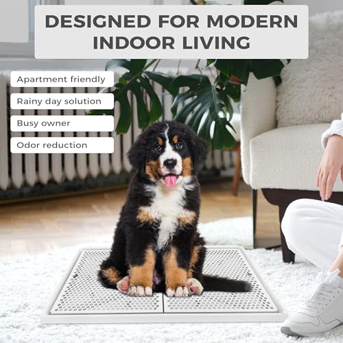 Dog Pee Pad Holder with Raised Mesh Grate – Expandable Indoor Puppy Potty Tray, Heavy Duty Plastic, Keeps Paws Dry, Fits Standard 24x15 Pads – Alpha Dog Series