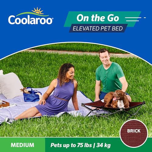 Coolaroo On-The-Go Elevated Dog Bed - Foldable Pop-Up Travel Dog Bed with Breathable, Moisture-Resistant Fabric, Carry Bag Included, Lightweight & Portable, Brick, Medium - color: Brick, style: Medium