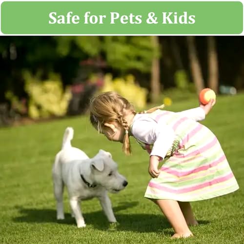 Reusable Potty Training Grass Mat for Dogs - 2FT X 3FT Artificial Turf with Drainage Holes, Washable Dog Potty Pad for Indoor & Outdoor Use, Easy to Clean, Durable & Long-Lasting - size: 2FT X 3FT