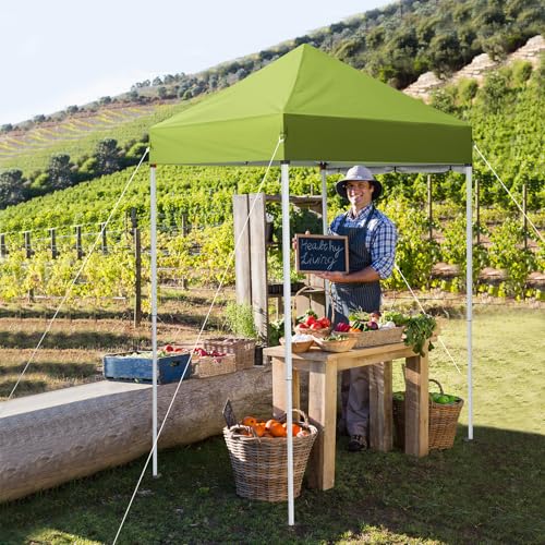 Outvita 5x5 Pop Up Canopy Tent, Ez Up Outdoor Canopy Tent Instant Shelter with Carry Bag Straight Legs Patio Balcony Porch Backyard Garden - style: 5x5-green