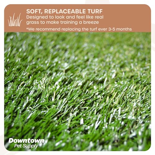 Downtown Pet Supply Dog Grass Pad with Tray, 20 x 30 - Outdoor and Indoor Potty System for Dogs with Replaceable Synthetic Grass Pee Turf - Portable and Waterproof Turf Dog Potty - size: 20" x 30"