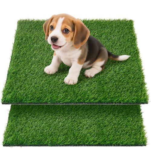 Artificial Pet Pee Grass Mat for Puppy, Pet Turf Fake Grass Replacement Pad for Dog Potty Training, Indoor and Outdoor - 2 Packs (18" x 28") - size: 18" x 28"