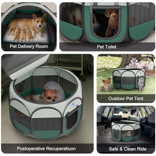 Playpen for Small Dogs Cats Crate: Puppy Play Pen Indoor Outdoor Foldable Potable Exercise Cage Pop up Kennel for Guinea Pig Rabbits Hamster Travel with Carrying Case & Food Bowl (Green, M, 1) - color: Green, size: M