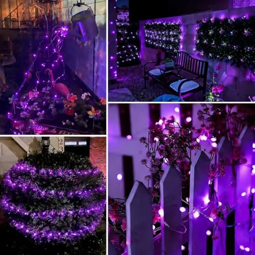 QITONG 4 Pack Solar Fairy Lights, Each 33ft 100 LED Purple Christmas String Light Outdoor Waterproof, 8 Modes Silver Wire Twinkle Mini Lights - color: Purple, size: 4Pack*100LED