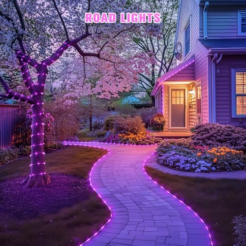 JMEXSUSS 2 * 200 LED Pink Solar Rope Lights, 66ft IP 65 Waterproof Solar String Light Outdoor, 8 Modes Christmas Lights for Camp Trampoline Ladder Slide Tent - color: Pink, size: 2*200 Led