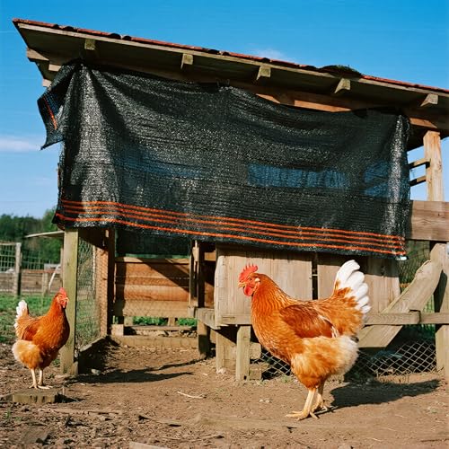 winemana 50% Shade Cloth for Garden- 4x10 FT Breathable Mesh Tarp for Vegetables & Plants, Outdoor Patio Sun Shade with Grommets - Chicken Coop, Dog Kennel Cover - size: 4 FT x 10 FT, style: 50%