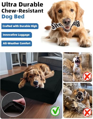 Sytopia PET Toys Black
