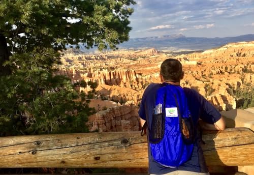 Hammock Bliss - Ultralight Travel Daypack - Lightweight Packable Backpack - Foldable Hiking Backpacks - Waterproof Compact Folding Day Pack for Travel Camping Outdoor - Only 5.25 oz - color: Blue