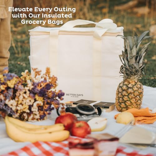 Nook Theory Reusable Insulated Grocery Bag - Leak Proof, X Large Cooler Bag - Insulated Shopping Bags for Groceries - Travel Cooler Bag for Frozen and Hot Food with Zippered Top (Caramel Cream) - color: Caramel Cream