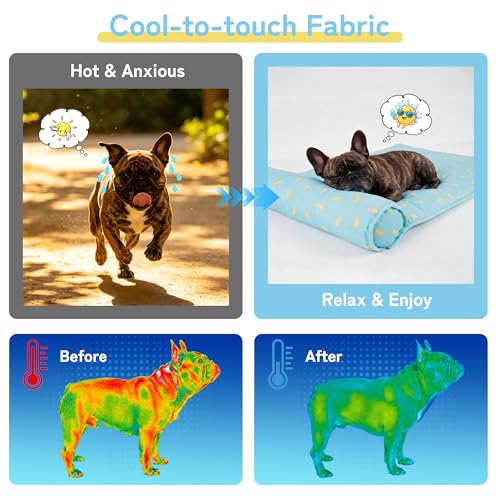 PUMYPOREITY Cooling Dog Mat, Self-Cooling Pad for Dogs & Cats, Blue, Medium, 15.7 x 23.6 x 1.9 inches - color: Blue, size: Small