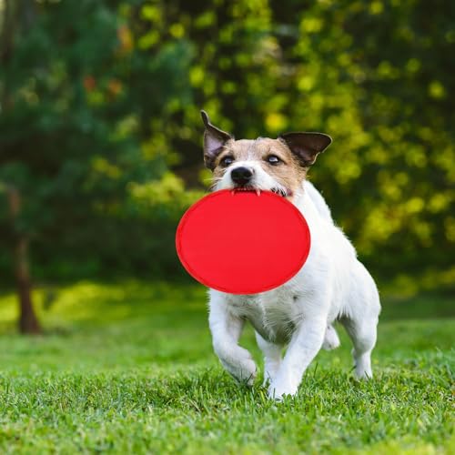 Norme 24 Pcs Foldable Flying Disc Fans with Bags Set 9.8'' Handheld Folding Fly Cooling Fans Beach Summer Flying Disc for Birthday Halloween Party Outdoor Activity Game - color: Blue, Red, White