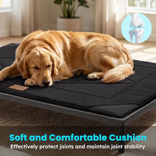 ZOMISIA Chew Proof Elevated Dog Bed for Medium Dogs - Raised Pet Cot with Removable Waterproof Padded for Outdoor Use, Indestructible and Washable, 36" L x 24" W x 5" H, Black - size: M - 36"l X 24"w X 5"h
