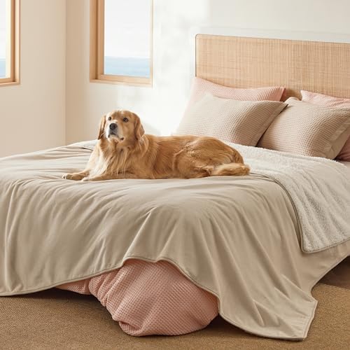 Bedsure Waterproof Blanket for Bed - Sherpa Fleece Waterproof Dog Blankets for Large Dogs, Pet Blankets for Bed/Couch/Dog Crate, Soft Plush Reversible Furniture Protector, Queen Size, 90"x86", Cream - color: Cream, size: Queen(86x90")