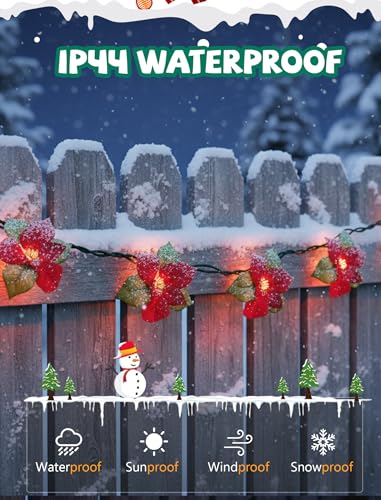 8.5FT Christmas LED Flower String Lights, Christmas Decorations Lights Outdoor with 10 LED Red and Green Flowers Bulbs, Plug in Flower Fairy Light for Valentines Wedding Garden Porch Floral Decor - color: Red Flower