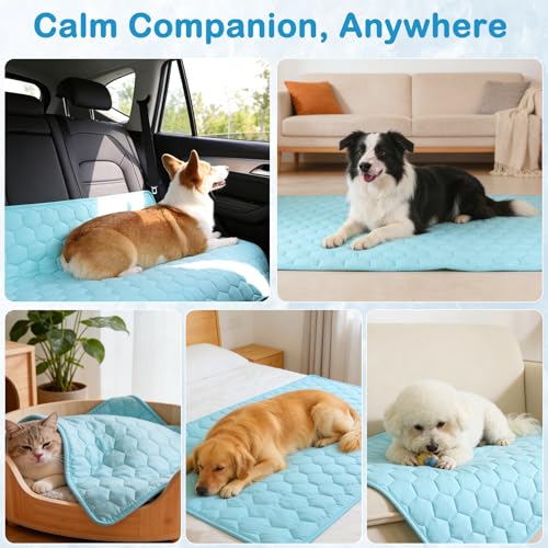 Vivifying Cooling Blanket for Dogs, Q-MAX>0.5 Waterproof Reversible Dog Cooling Mat, Soft Pet Throw Cooling Mat for Couch, Bed, Crate, Car Seat, Breathable Summer Cat Bed Blanket 30 x 40 Inches - size: M(30"x40")
