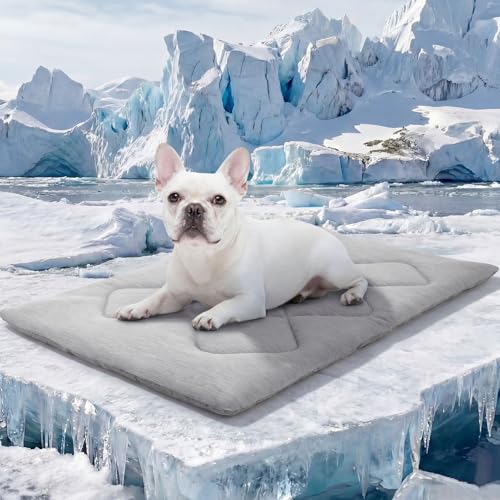 ASENKU Dog Cooling Mat, Portable & Durable Cooling Mat for Dogs, Summer Anti-Slip Breathable Cooling Bed for Small-Medium Dogs up to 35 lbs (French Bulldog, Beagle, Corgi), 32x20 inches, Grey Diamond - color: Light Grey, size: Medium
