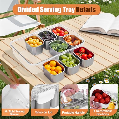 Snackle Box Container with Ice Pack, 304 Stainless Steel Divided Serving Tray, Snacklebox with Insulated Bag, 8 Compartment Platter Box with Lid and Handle for Beach, Road Trip, Boat Days, Pool Party - color: Silver White