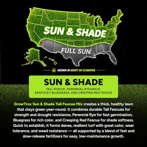 Growtrax Biodegradable Grass Seed Mat, Year Round Green - 50 Sq Ft Quick Fix Roll - Growing Solution for Lawns, Dog Patches and Shade - Just Roll Water & Grow -Not Fake or Artificial Grass - size: 50sqft