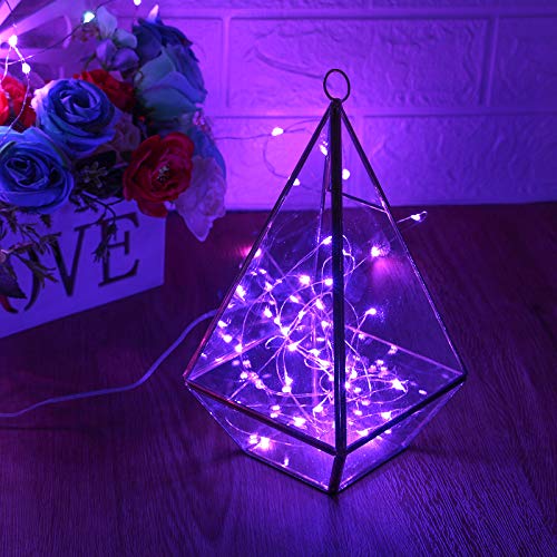 XINKAITE Purple Fairy Lights - Waterproof LED Starry String Lights for Indoor & Outdoor DIY Decoration, Home Parties, Christmas Holiday (10FT/3Meters) - color: Purple, size: 10ft