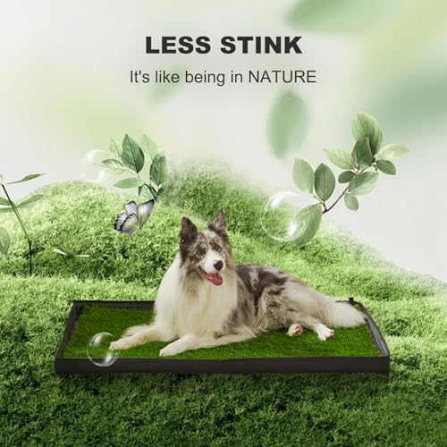 HQ4US 4LEGS Dog Grass Pad with Foldable Dog Litter Box, Large Liner Base (33”×23”) for Balcony, 2 Artficial Grass Pee Pads for Dogs, Pee Pad Holder, Potty Training - size: Large for Dog＜ 28" Length