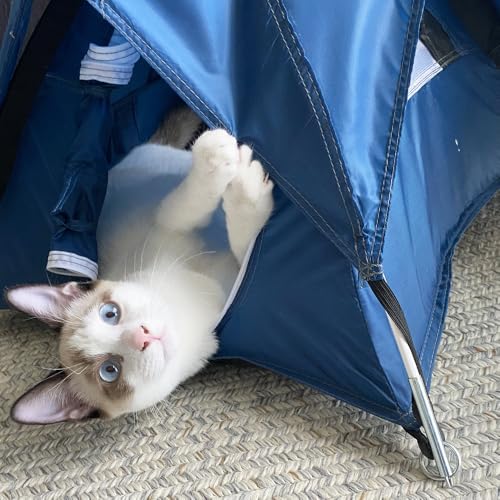 Tiny Tents - color: Sky Blue