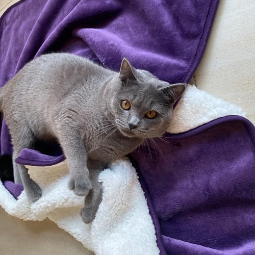 Waterproof Blanket for Bed Couch Sofa, Soft Liquid Pee Proof Pet Blanket for Dog Puppy Cat, Reversible Sherpa Fleece Furniture Protector (Dark Purple, 30x40 inches) - color: Dark Purple, size: 30x40 inches