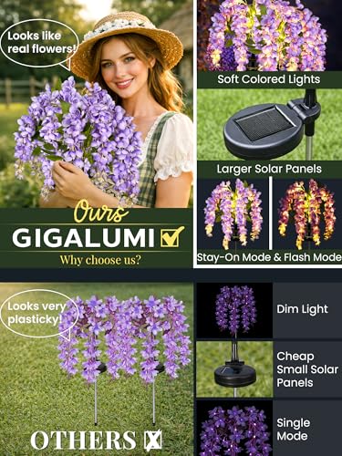 GIGALUMI Solar Lights Outdoor for Garden Decor, 3 Pack Solar Flower Lights Waterproof, 2 Lighting Modes Wisteria for Pathway,Yard, Patio Decoration, Gardening Gifts for Women (Purple) - color: Purple