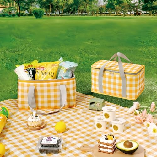 2pcs Insulated Picnic Bag Reusable Cooler Bags with Zipper Top, Foldable Picnic Basket for Food Storage，Portable Picnic Basket for Outdoor Camping, Party, Beach Trip (B) - color: B