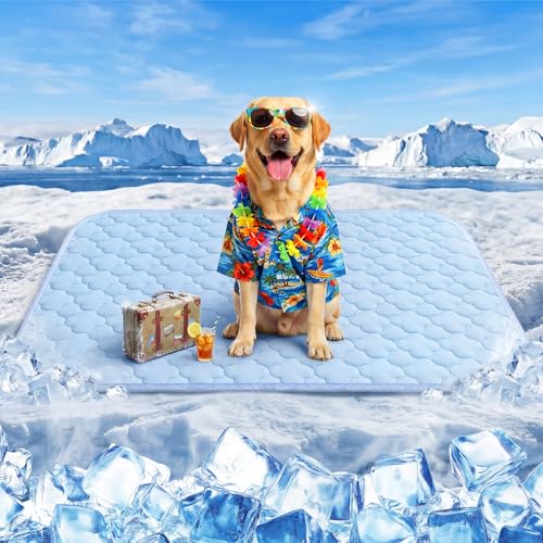 Dog Cooling Mat for Large Dogs, Long-Lasting Cool Pad for Dogs Outdoor & Indoor Use with Ice Silk Fabric & Waterproof Cover, Summer Cooling Pet Bed 36" x 26", Non-Slip Washable Pet Blanket - color: Blue Cloud Stitching, size: Large