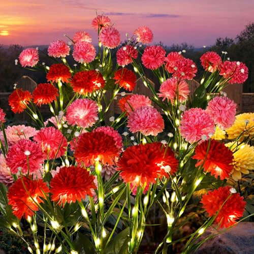 GIGALUMI Solar Lights Outdoor for Garden Decor, 6 Pack Solar Flower Lights Waterproof, 2 Lighting Modes 36 Chrysanthemums for Pathway,Yard, Patio Decoration, Gardening Gifts for Women (Multi-Colored) - color: Multicolor, size: 6 Pack