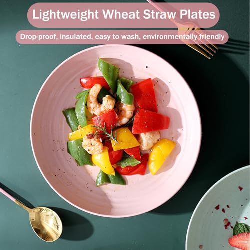Wheat Straw Dinner Plates Set of 4, Unbreakable Reusable Plates, Lightweight Microwave & Dishwasher Safe, BPA Free Pink Dinnerware for Kitchen, Camping & Daily Use - color: Pink