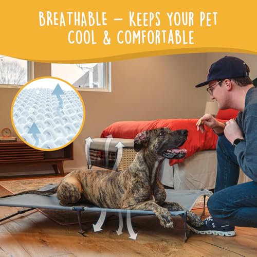 CANINE CANYON Daisy Cot, XL Foldable Elevated Dog Bed, Portable Raised Outdoor Folding Dog Cots, Cooling, Chew Proof, Waterproof, Heavy Duty Up to 160 lbs for Camping/Home, Grey, 49"x 33"x7" - color: Gray, size: X-Large
