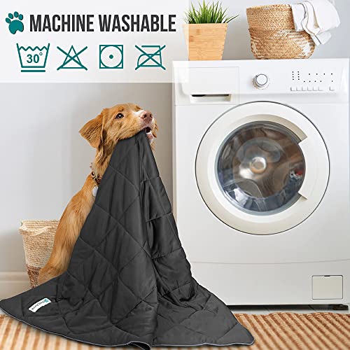 PetAmi Premium Cooling Dog Blanket | Lightweight Fluffy Pet Throw Blanket Bed Cover for Dogs, Cat, Puppies | Pet Blanket Furniture Protector Couch Sofa | Reversible Fuzzy Cozy | 40x60, Grey - color: Grey, size: Large (40x60)