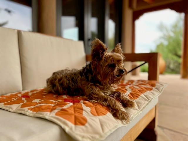 Waterproof Blanket, 29" x 34” - Seat Cover for Dogs and Pets. Ideal for Small and Medium Pet Crate Blankets, Settle mat, Diaper Changing and Playmat for Babies - color: Rust and Green