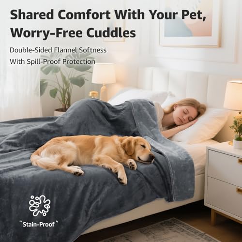 LOOBANI Waterproof Blanket for Bed: Reversible Soft Flannel Queen Bed Blanket 80" x 90", Waterproof Dog Blankets for Large Dogs, Spill-Proof Cover for Furniture Protection, Movie Time, Grey - color: Grey, size: 80" x 90"