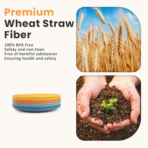 Homienly 5.7 Inch Small Plates-Wheat Straw Mini Plate, Unbreakable Plate Set Ideal for Dessert, Appetizers, Small Serving, Side Dish, Lightweight Dessert Dishes Plates, Set of 8, Colorful - color: Classic Bright, size: 5.7 inch