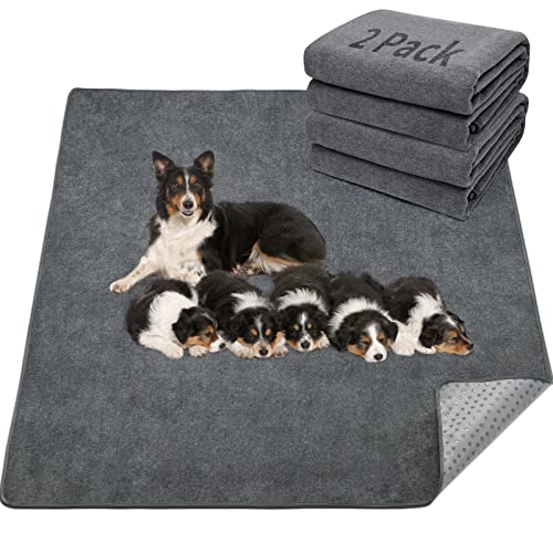 LOOBANI Washable Pee Pad for Dogs, 2 Packs Non-Slip Puppy Training Pads, Fast Absorbent Pet Whelping Pads, Puppy Playpen Mat for Incontinence, Housebreak, Crate, 31x36in, Gray - size: 31"*36"(Pack of 2) Gray